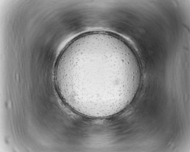 X0000100211279200805300718