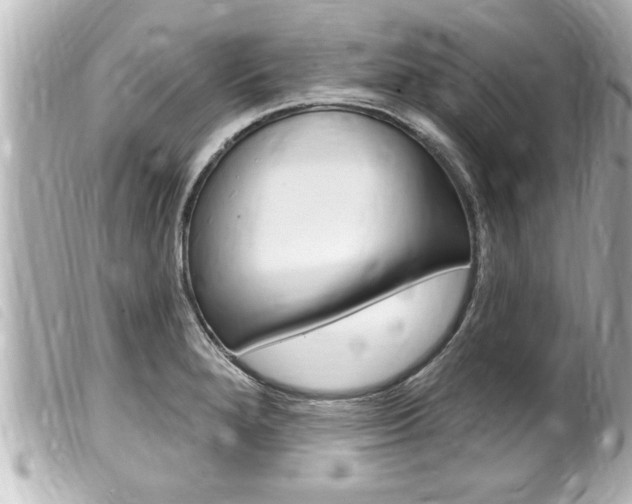 X0000100211280200805300718