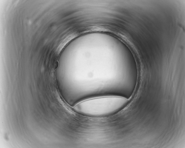X0000100211281200805300718
