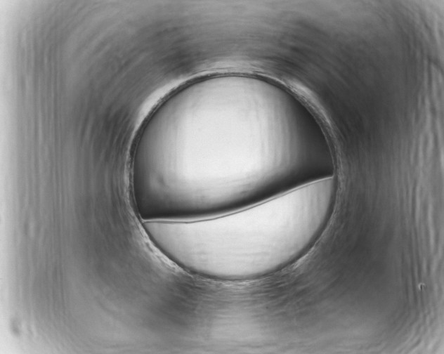 X0000100211288200805300717