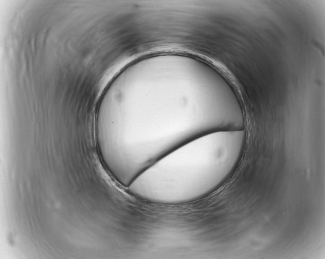 X0000100211295200805300717