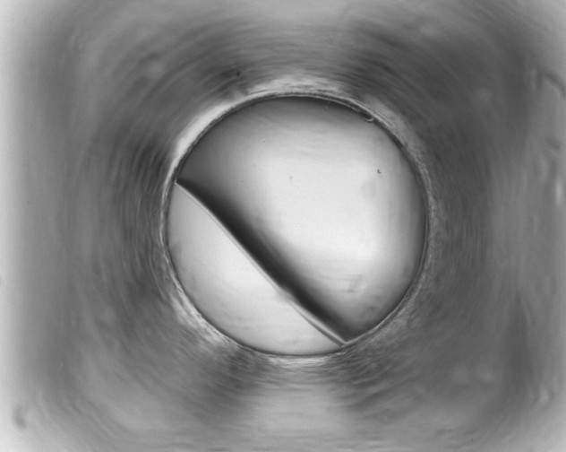 X0000100211296200805300717
