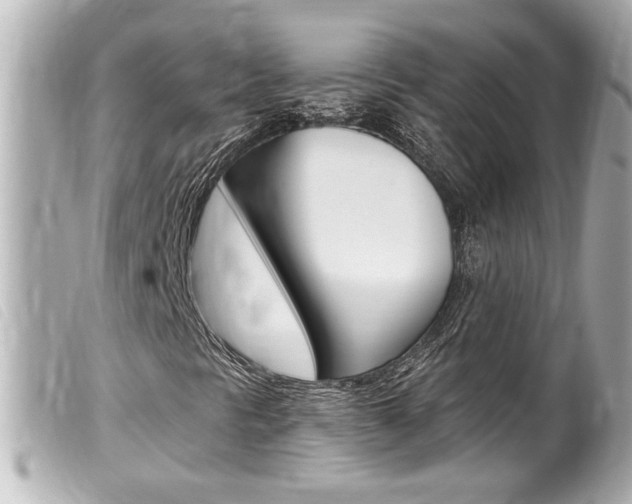 X0000100211297200805300717