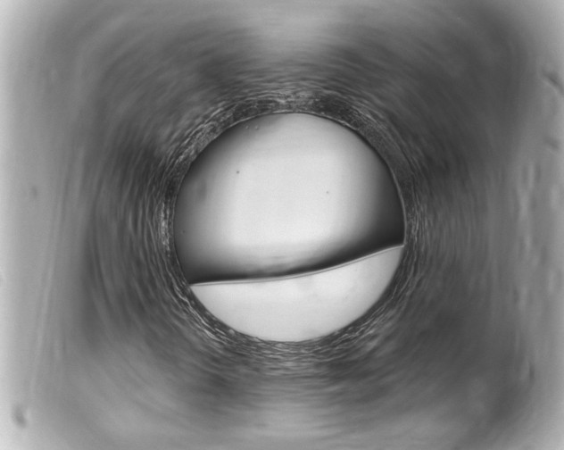 X0000100211298200805300717