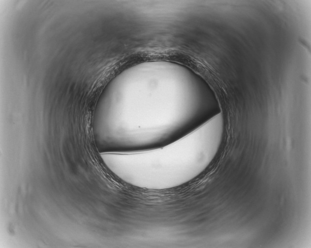 X0000100211300200805300717