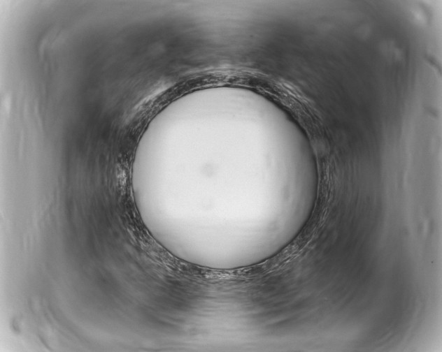 X0000100211302200805300717