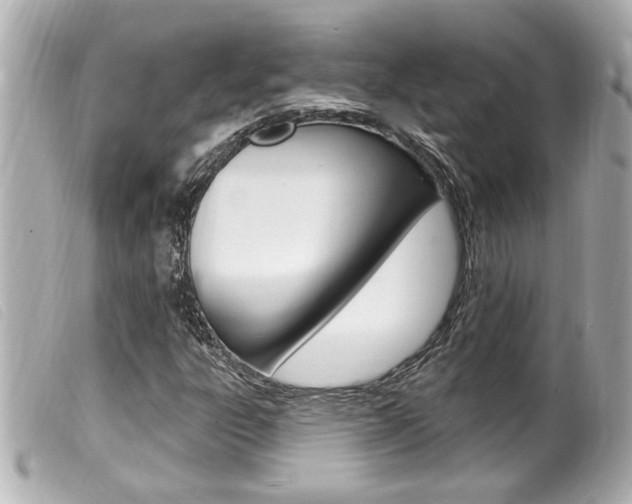 X0000100211303200805300717