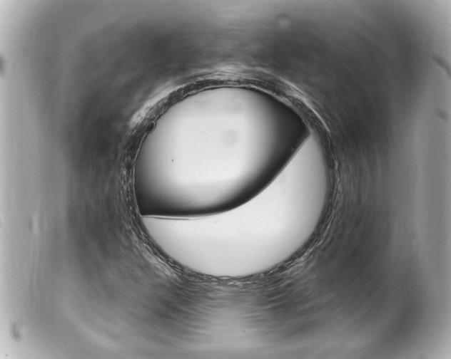 X0000100211304200805300717