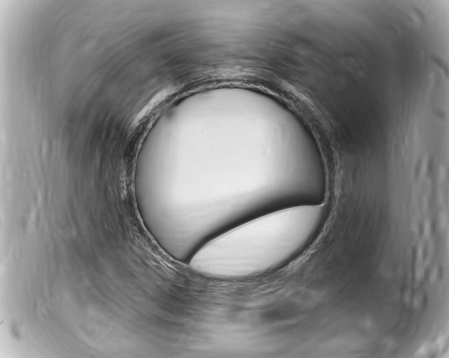 X0000100211306200805300717