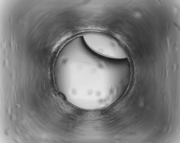 X0000100211307200805300717