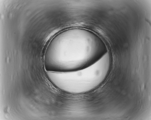 X0000100211308200805300717