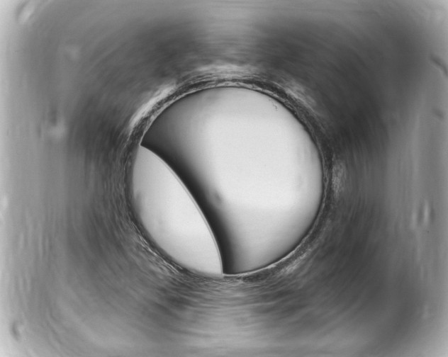X0000100211309200805300717