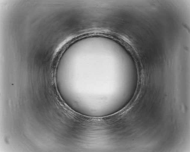 X0000100211310200805300717