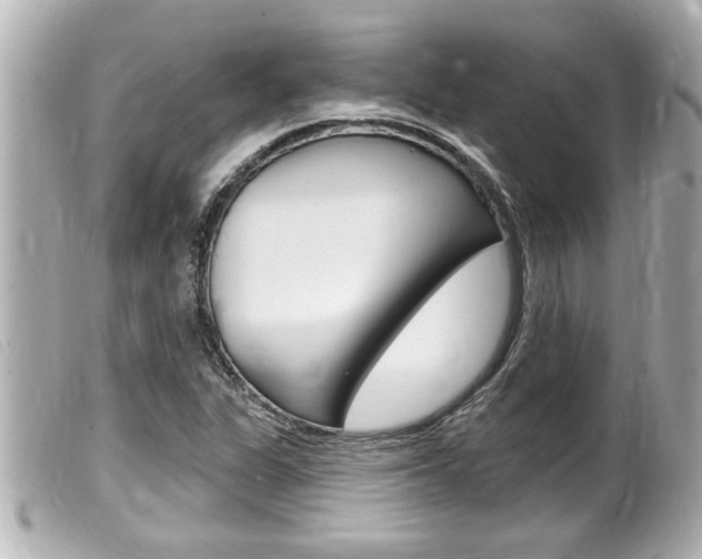 X0000100211311200805300717
