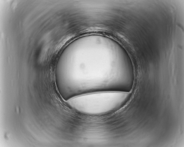 X0000100211313200805300717