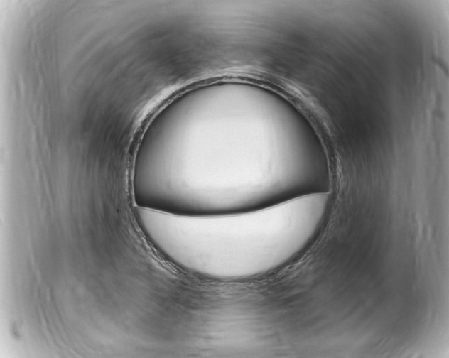 X0000100211316200805300717