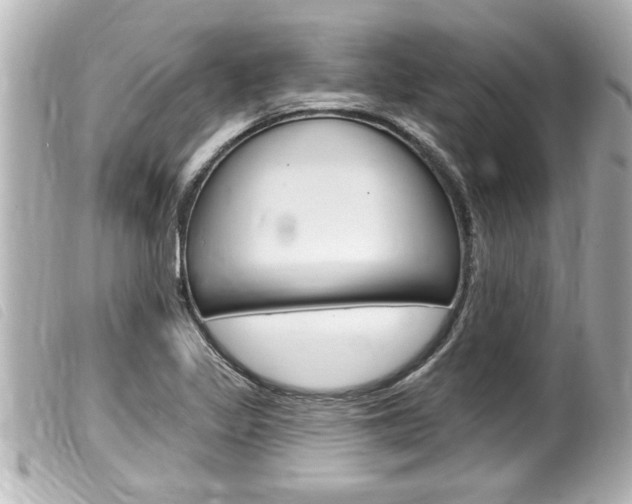 X0000100211317200805300717