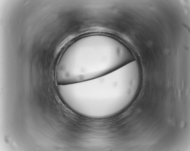 X0000100211318200805300717