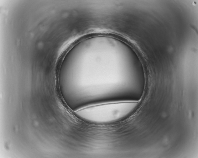 X0000100211319200805300717