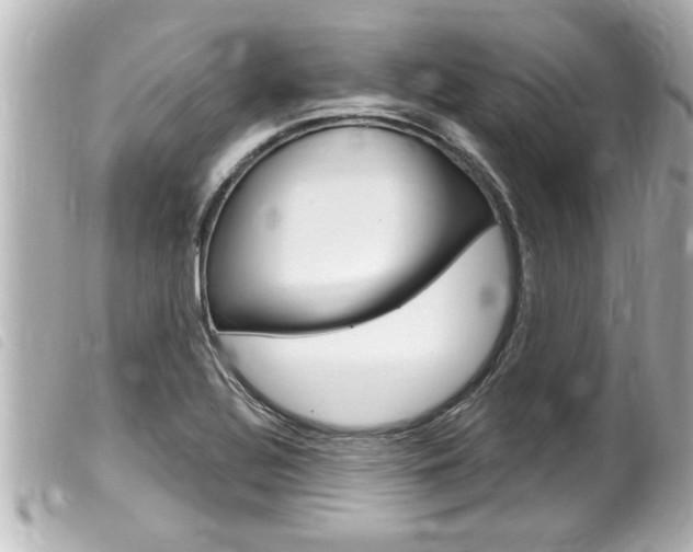 X0000100211320200805300717