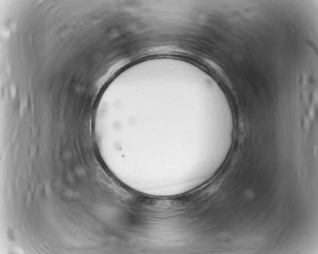 X0000100211322200805300717