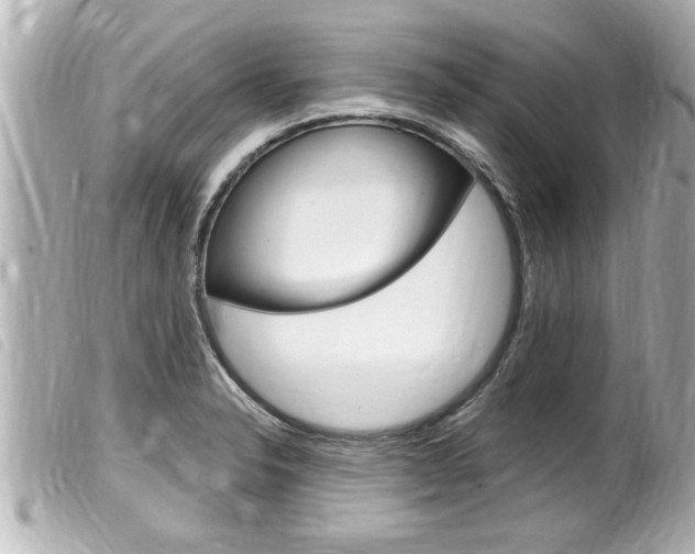 X0000100211326200805300717
