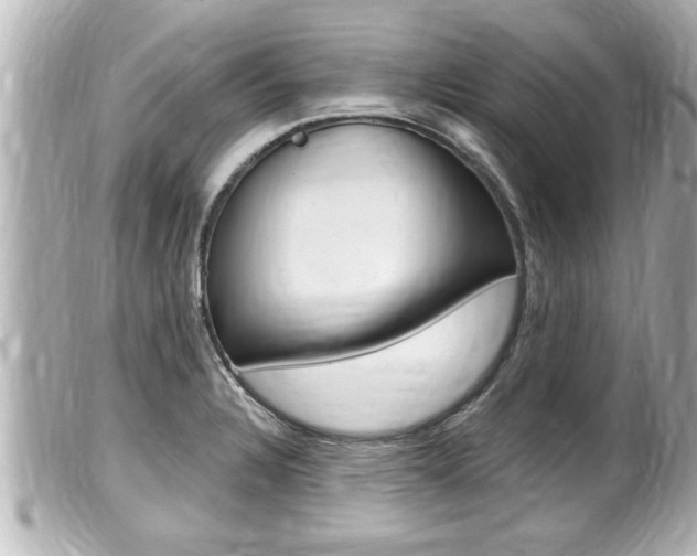 X0000100211328200805300717
