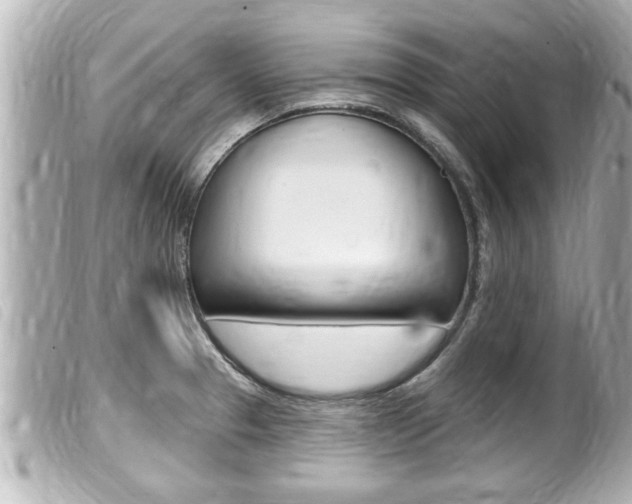 X0000100211329200805300717