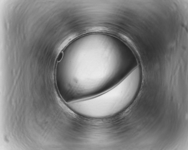X0000100211330200805300717