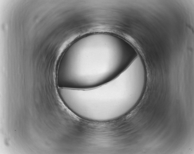 X0000100211334200805300717