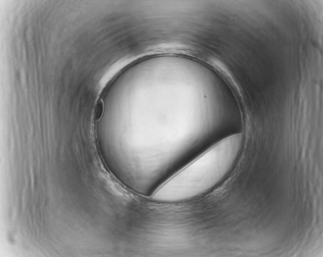 X0000100211336200805300717