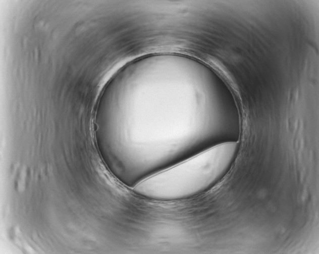 X0000100211340200805300717