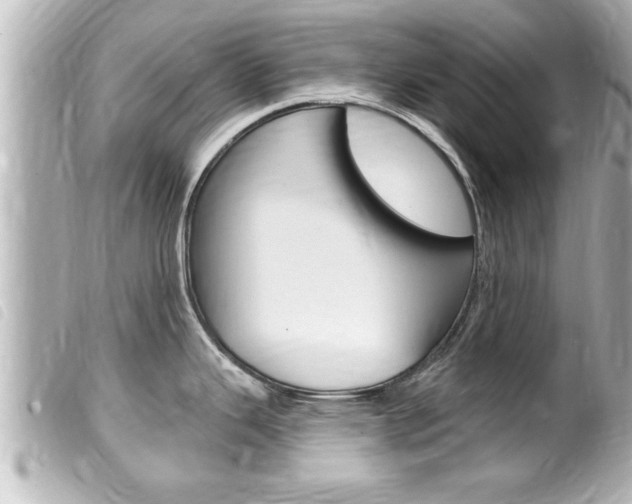 X0000100211343200805300717