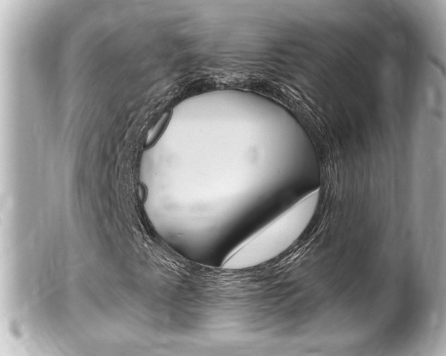 X0000100211345200805300717