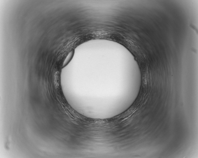 X0000100211346200805300717
