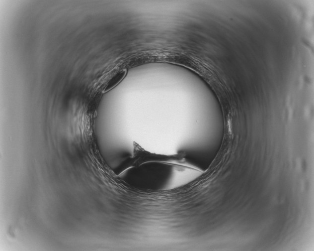 X0000100211347200805300717