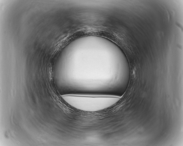 X0000100211348200805300717
