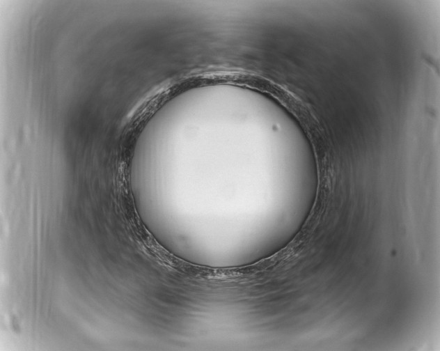 X0000100211351200805300717