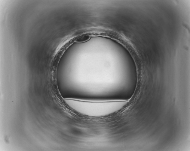 X0000100211352200805300717