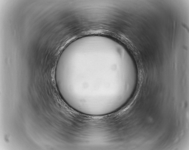 X0000100211353200805300716