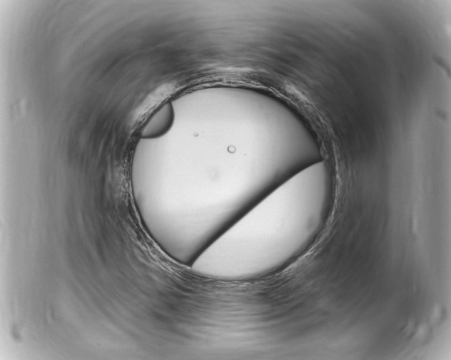 X0000100211354200805300716
