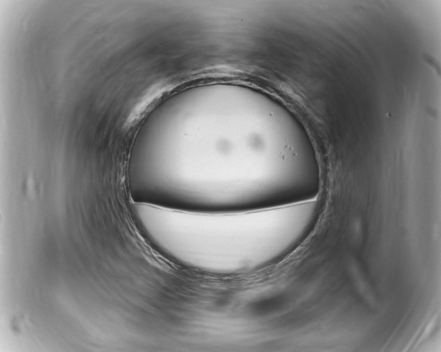 X0000100211355200805300716