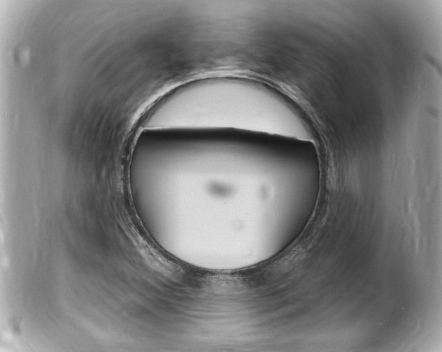 X0000100211356200805300716