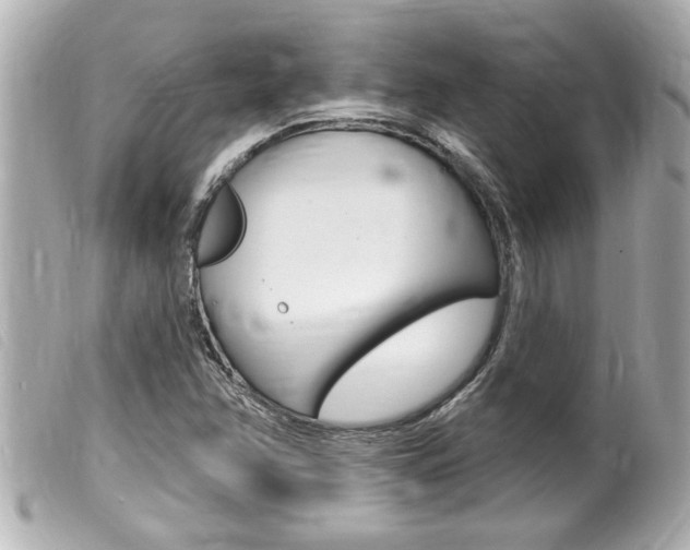 X0000100211358200805300716