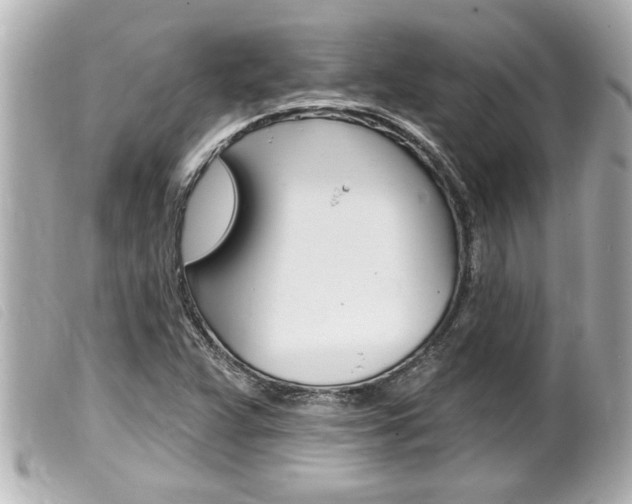 X0000100211359200805300716