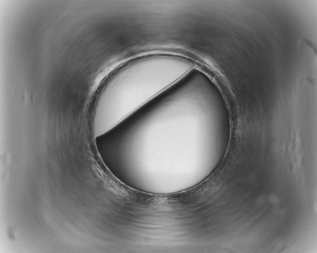 X0000100211360200805300716