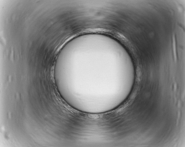 X0000100211361200805300716