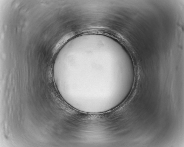 X0000100211362200805300716