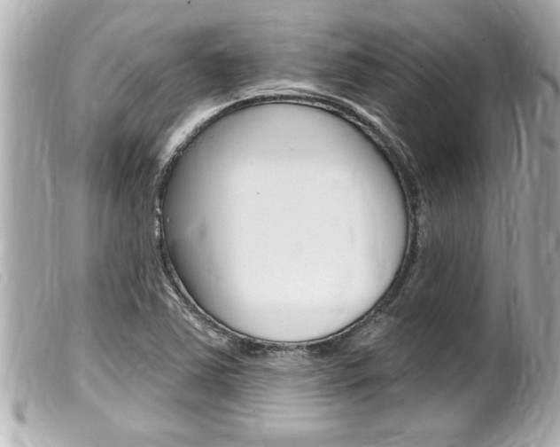 X0000100211363200805300716
