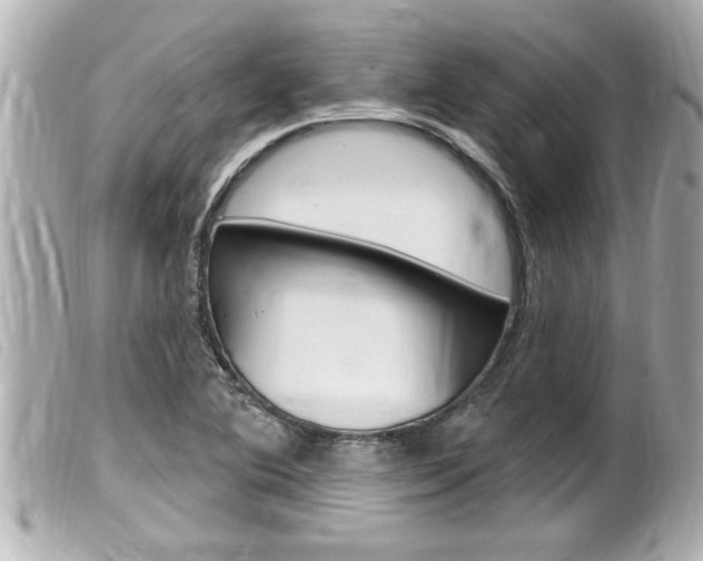 X0000100211364200805300716